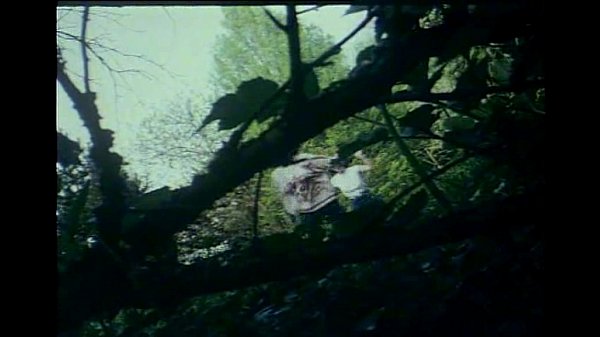 Жесткое порно для женщин в тюрьме 1982 года